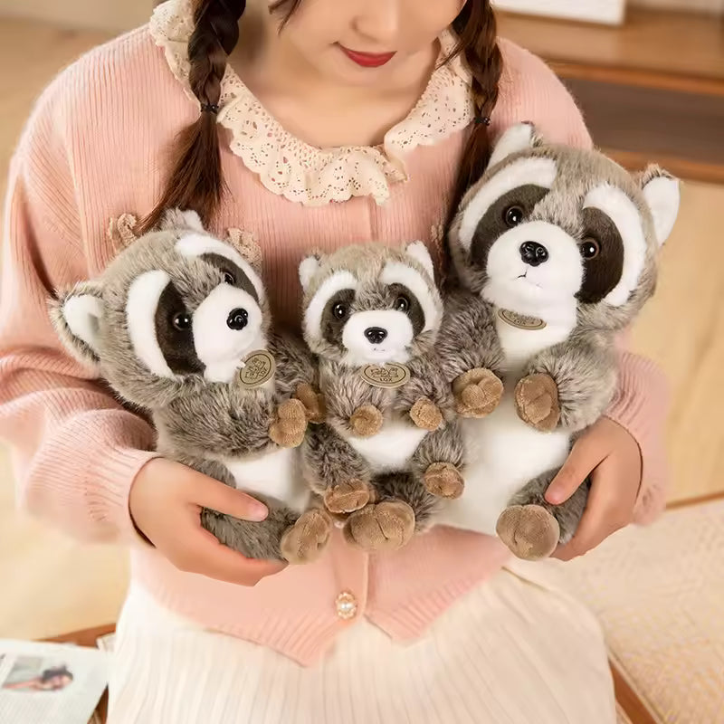 Raccoon cuddly toy