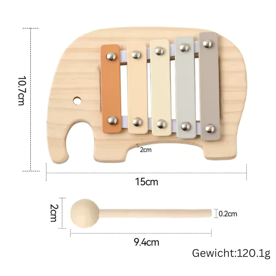 Sound &amp; Growth Xylophone