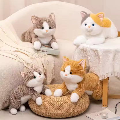 Cat Cuddle Toy