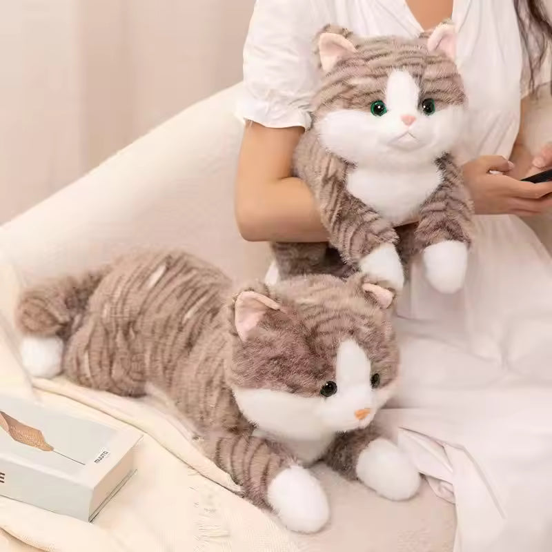 Cat Cuddle Toy