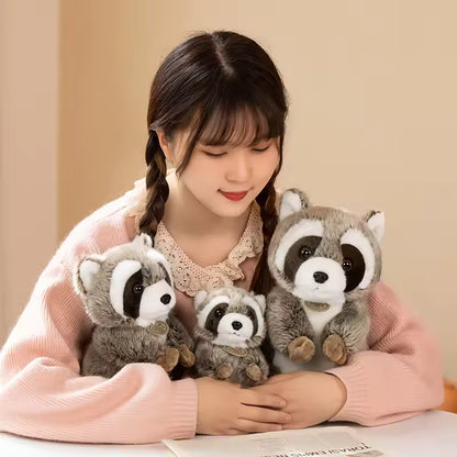Raccoon cuddly toy