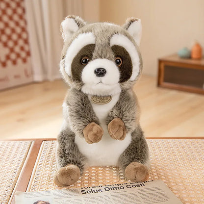 Raccoon cuddly toy