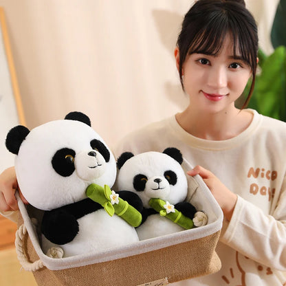Panda Cuddly Toys