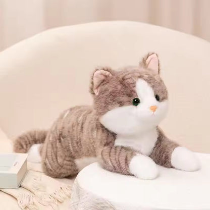 Cat Cuddle Toy