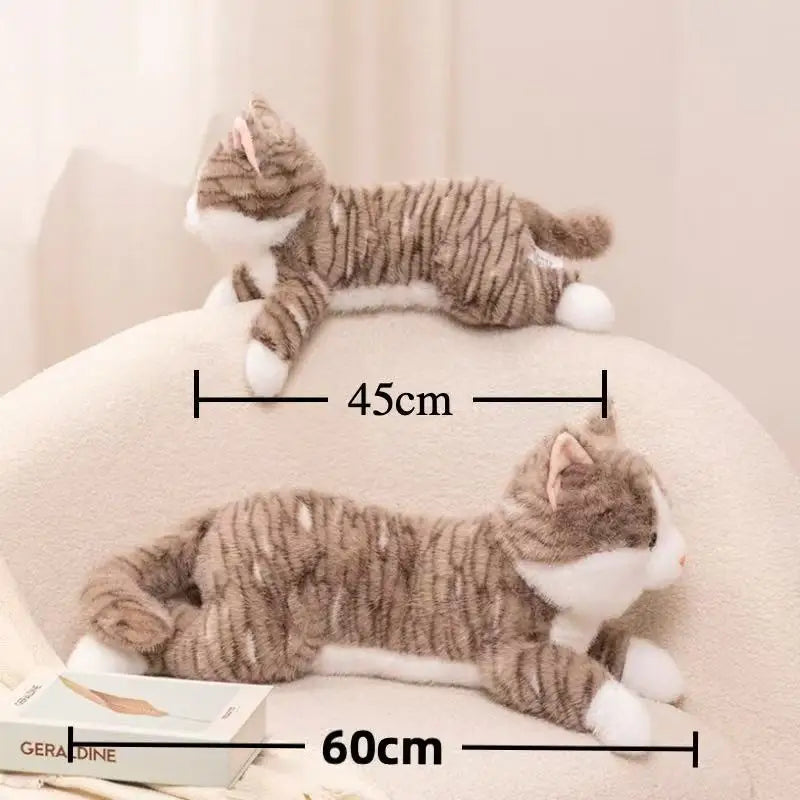 Cat Cuddle Toy