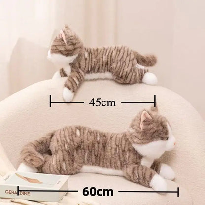 Cat Cuddle Toy