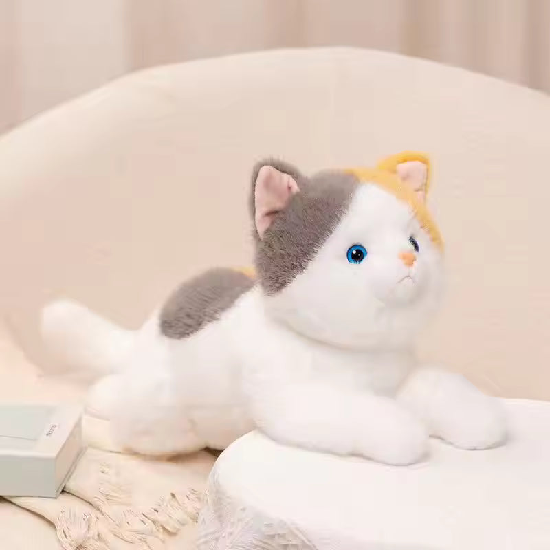 Cat Cuddle Toy